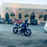 Honda hornet