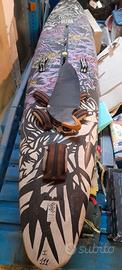 Tavola windsurf fanatic ultra cat 3.70x 66