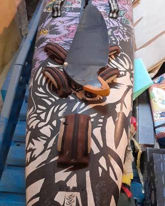 Tavola windsurf fanatic ultra cat 3.70x 66