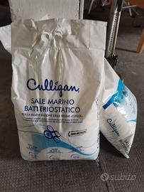 sale marino batteriostatico