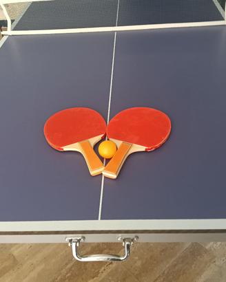 TAVOLO PING PONG PORTATILE + RACCHETTE