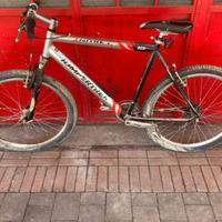 Mountain Bike Jumper Trea Antrea – Telaio in allum