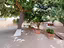 Immagine 23