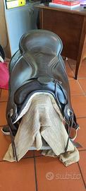 SELLA BAREFOOT ARIZONA