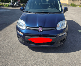 Panda 2016 1.2 benzina