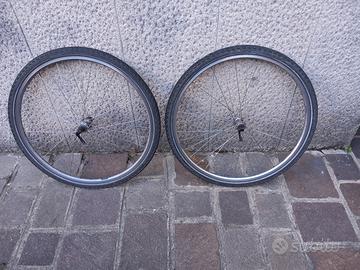 coppiaruote e copertoni swalbe marathon plus 28''