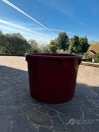 Contenitori per uva