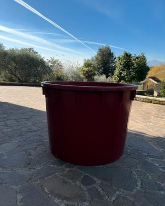 Contenitori per uva