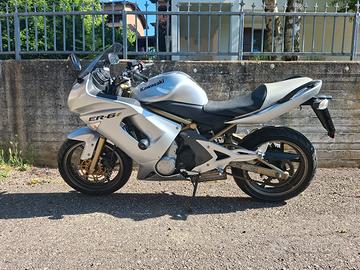Kawasaki er-6f