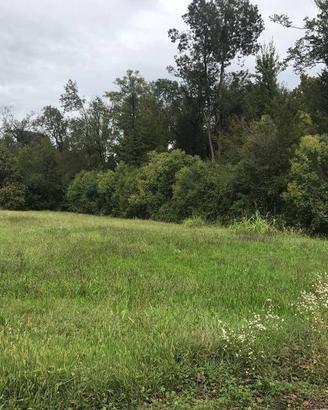 Terreno di 1800 m² a Fossalta di Portogruaro