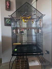 Gabbia + accessori + cocorita.(pappagalli/uccelli)
