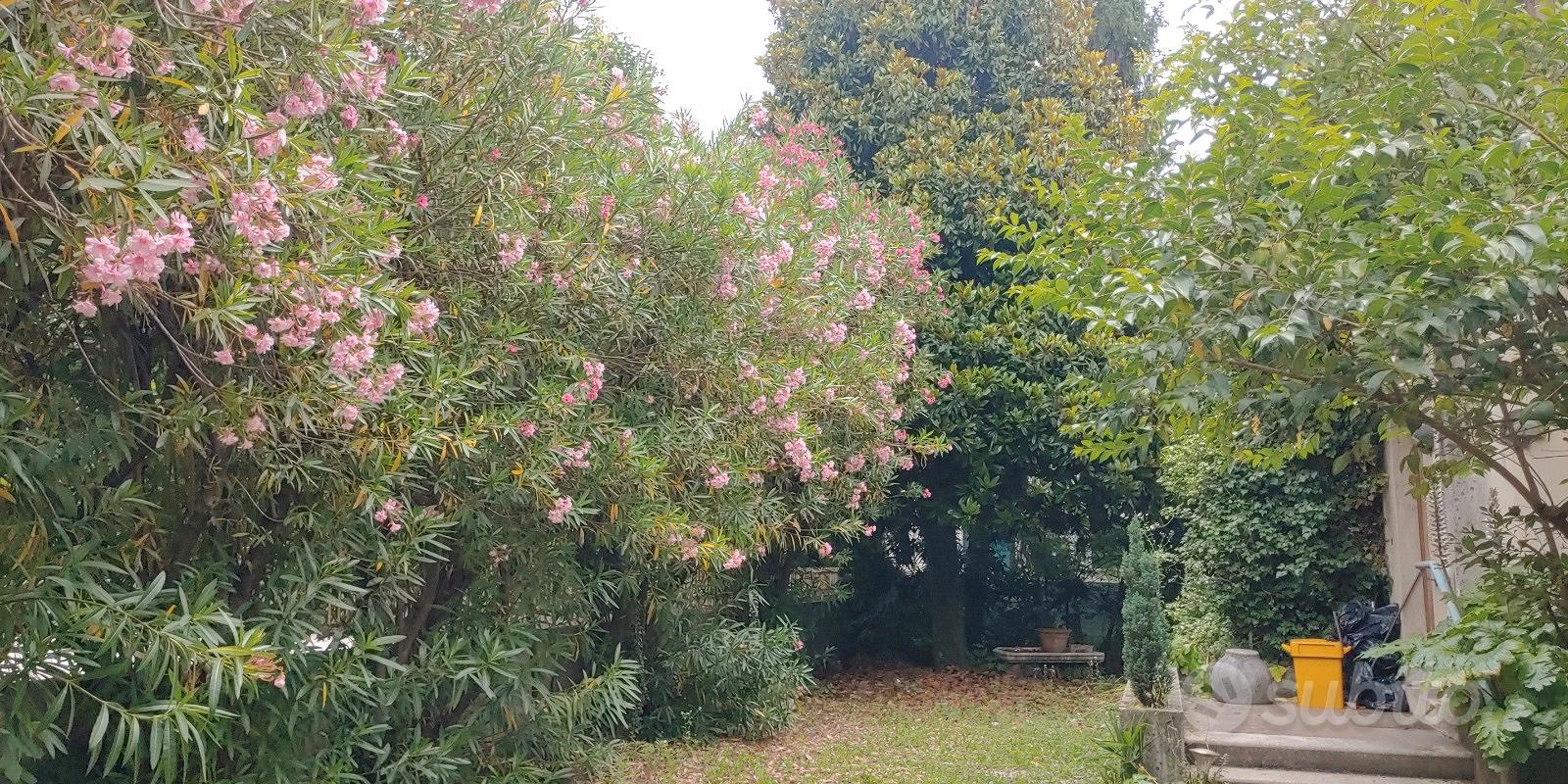Casa – Pordenone, San Giorgio, Rorai Grande / Rorai Grant - Vista 2