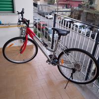 Bicicletta da Donna 