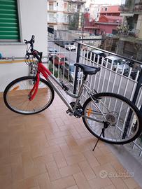 Bicicletta da Donna 