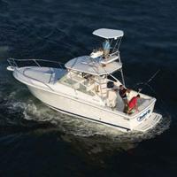 Luhrs 28