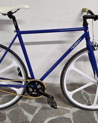 Bici da passeggio