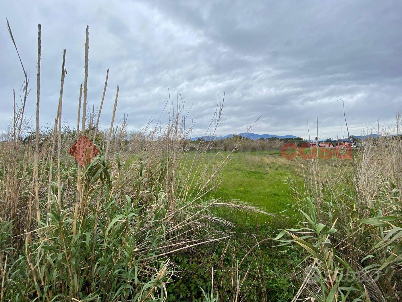 Terreno Agricolo Sessa Aurunca - Altro