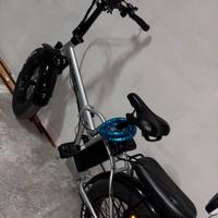 Bici schiano