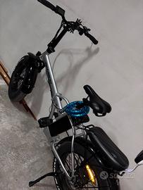 Bici schiano