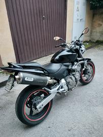 Honda  hornet