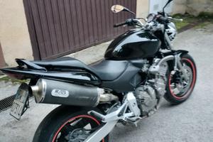 Honda  hornet