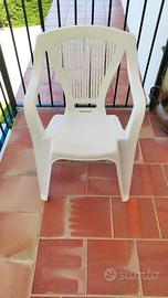 N°12 Sedie in Plastica