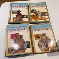 Enciclopedia nel meraviglioso mondo degli animali