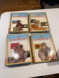 Enciclopedia nel meraviglioso mondo degli animali