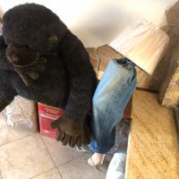 Peluches Vari e di marca