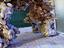 Immagine 3