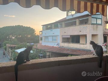 Casa Villaggio Praialonga
