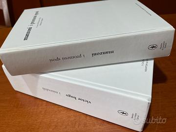 Libri letteratura dell’800