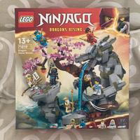 Lego 71819 Ninjago Santuario della pietra del drag