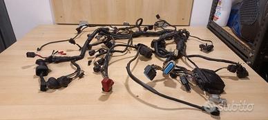 Impianto elettrico completo z750 2004 2005 2006