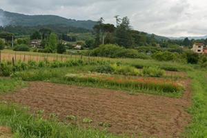 Terreno agricolo a Lucca, località Cappella