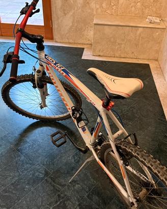 Mountain bike