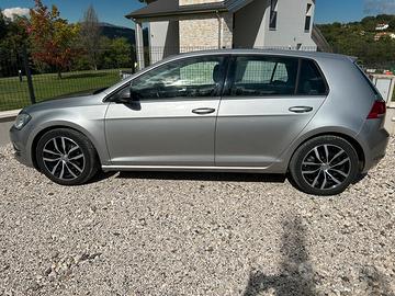 Golf 1.6 tdi highline 4motion