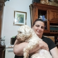 Barboncino maschio