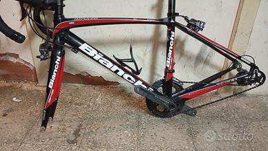 Telaio da corsa bianchi impulso