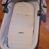 Navicella Inglesina Aptica