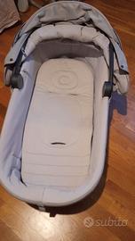 Navicella Inglesina Aptica