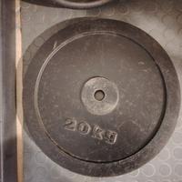 dischi pesi da 20 kg