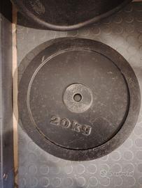 dischi pesi da 20 kg