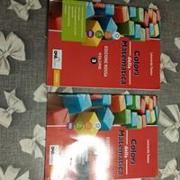 libro ragioneria colori della matematica 
