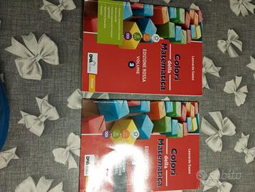 libro ragioneria colori della matematica 