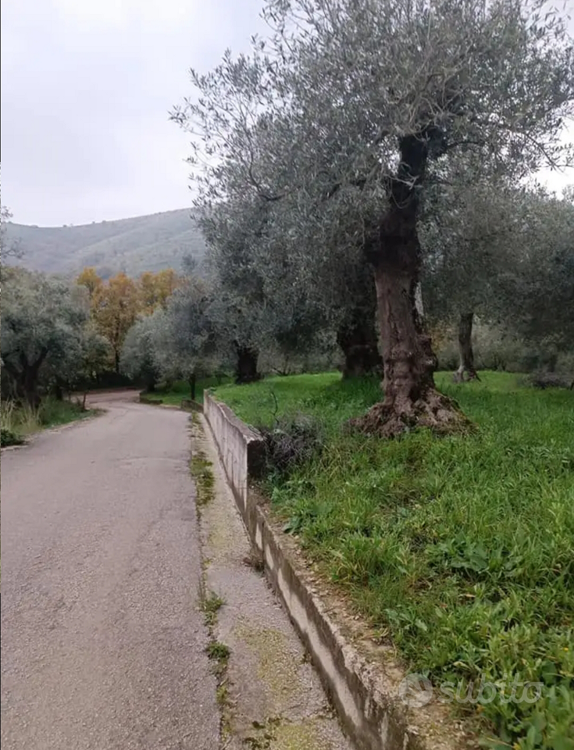 Terreno agricolo - Vista 5