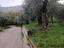 Immagine 5