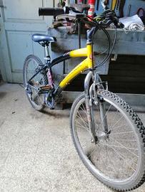 bicicletta da ragazzo 