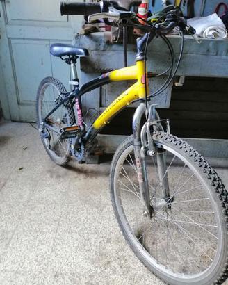 bicicletta da ragazzo 