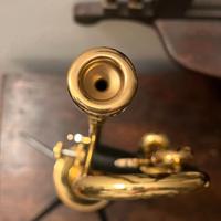 Bocchino Tromba Lotus 7XS